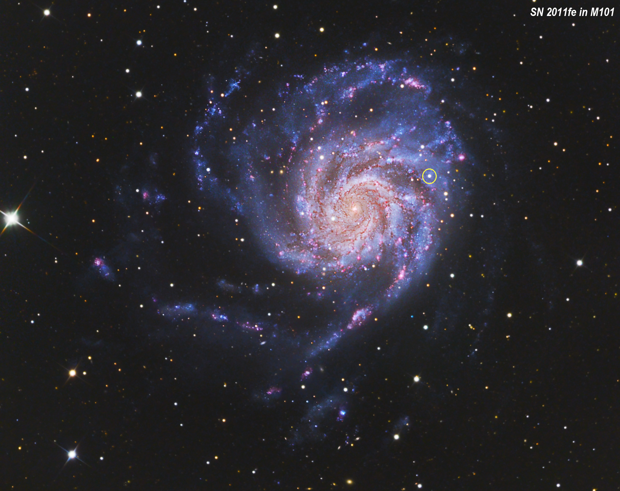 pinwheel galaxy amateur image Xxx Pics Hd