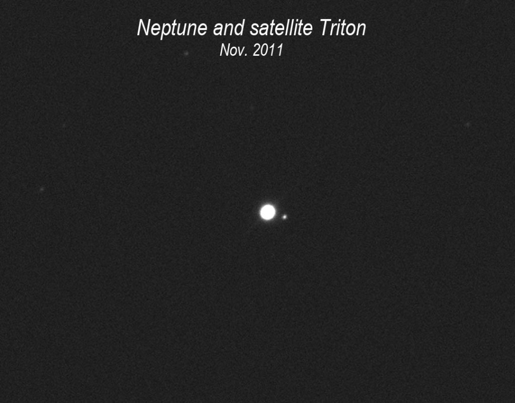 Neptune (1)