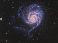 M101CROP-35